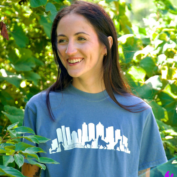 Boston Skyline T Shirt