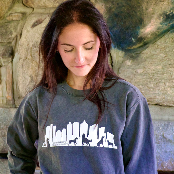 Boston Skyline Crewneck Sweatshirt
