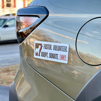 Foster, Volunteer, Adopt & Donate Car Magnet