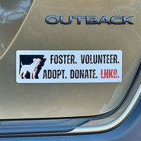 Foster, Volunteer, Adopt & Donate Car Magnet