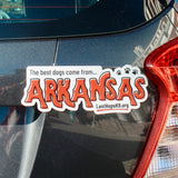 The Best Dogs Come From Arkansas Car Magnet