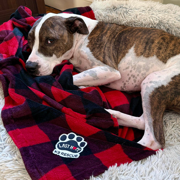 Buffalo Plaid Embroidered Fleece Blanket