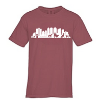 Boston Skyline T Shirt